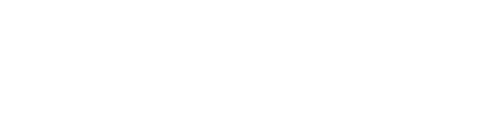 MRIOA Logo